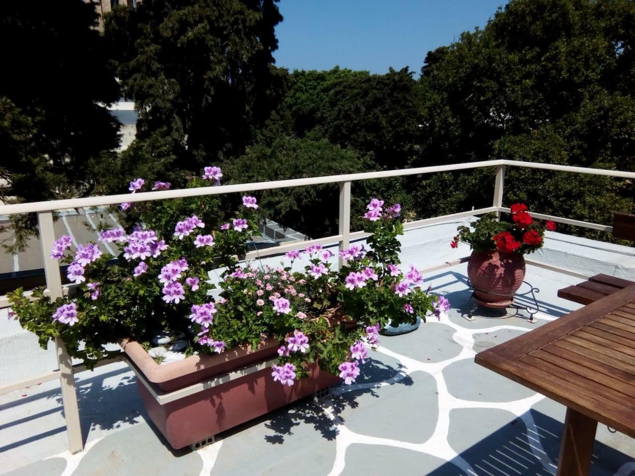 Park House -Beside The Medieval Town Of Rhodes Rhodes City Dış mekan fotoğraf